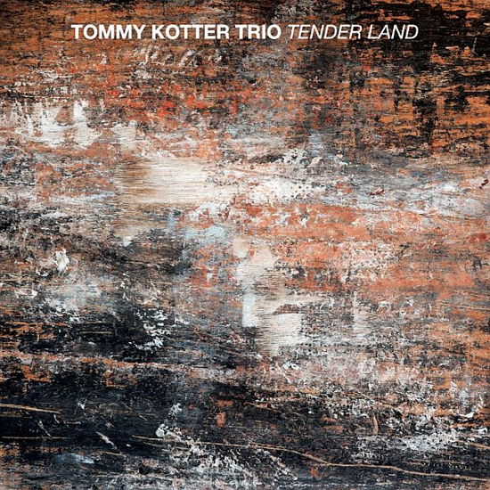 Cover for Kotter,Tommy / Mori,Yasuhito / Sundby,David/+ · Tommy Kotter Trio - Tender Land (CD) (2017)