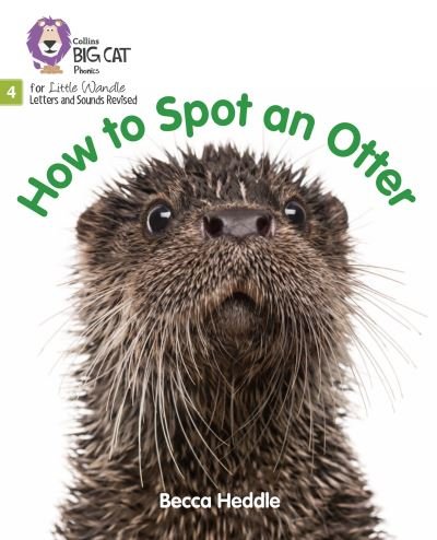 Cover for Becca Heddle · How to Spot an Otter: Phase 4 Set 2 - Big Cat Phonics for Little Wandle Letters and Sounds Revised (Paperback Book) (2021)