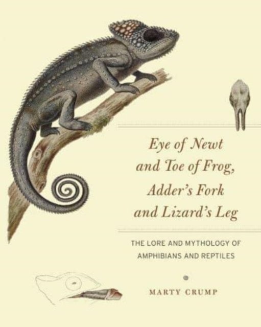 Cover for Marty Crump · Eye of Newt and Toe of Frog, Adder's Fork and Lizard's Leg: The Lore and Mythology of Amphibians and Reptiles (Paperback Bog) (2024)