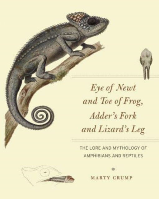 Marty Crump · Eye of Newt and Toe of Frog, Adder's Fork and Lizard's Leg: The Lore and Mythology of Amphibians and Reptiles (Paperback Book) (2024)