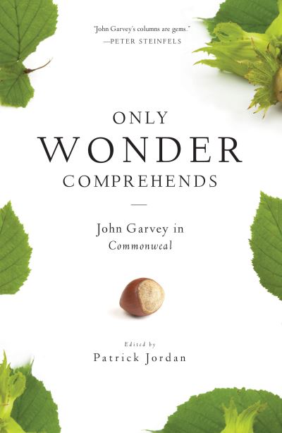 Cover for John Garvey · Only Wonder Comprehends (Paperback Book) (2018)