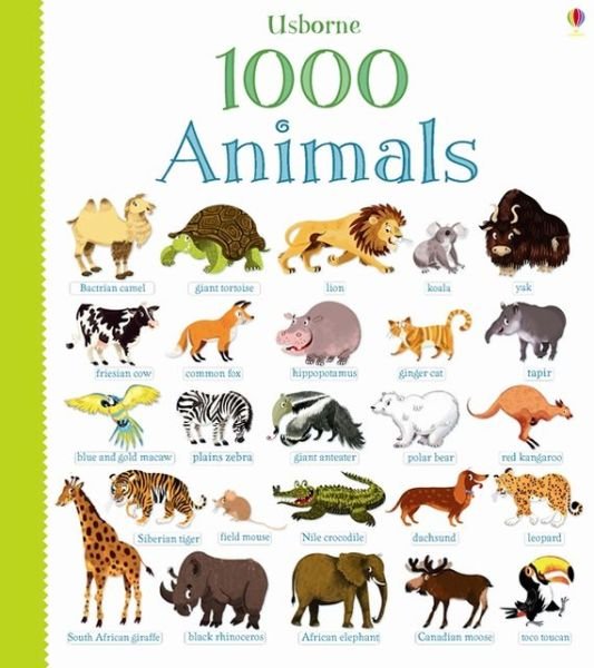 Cover for Jessica Greenwell · 1000 Animals - 1000 Pictures (Tavlebog) (2013)