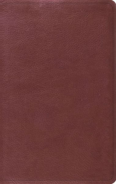 Cover for Crossway Bibles · Esv Value Thinline Bible (TruTone (N/A) [Burgundy Imitation] (2015)