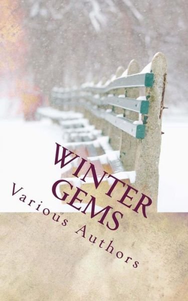 Cover for Various Authors · Winter Gems: Blasts of Bite Sized Fiction (Taschenbuch) (2013)