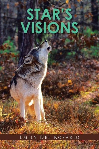 Cover for Emily Del Rosario · Star's Visions (Pocketbok) (2016)