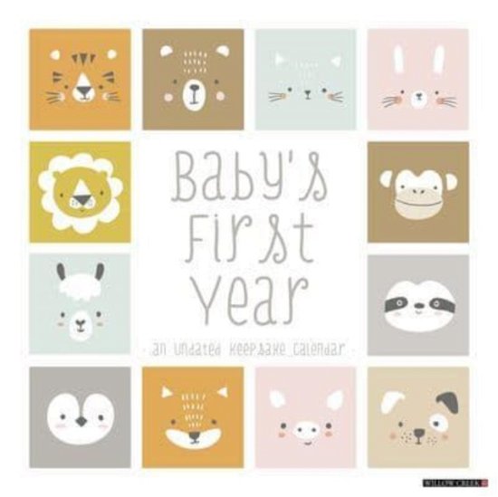 Cover for Willow Creek Press · Baby's First Year Undated 12 X 12 Wall Calendar (Calendar) (2024)