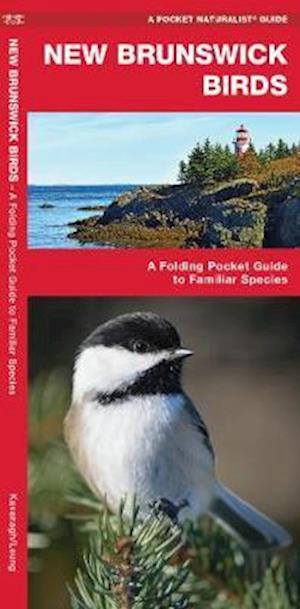 Cover for James Kavanagh · New Brunswick Birds: A Folding Pocket Guide to Familiar Species - Wildlife and Nature Identification (Pamphlet) (2019)