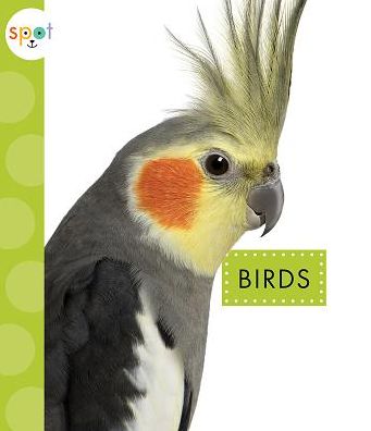 Birds - Mari Schuh - Bücher - Amicus - 9781681513645 - 1. September 2018