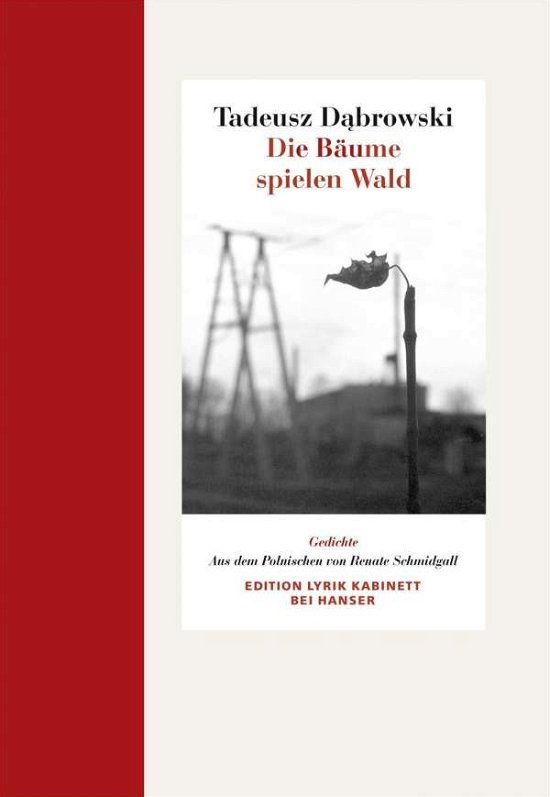 Cover for Dabrowski · Die Bäume spielen Wald (Book)