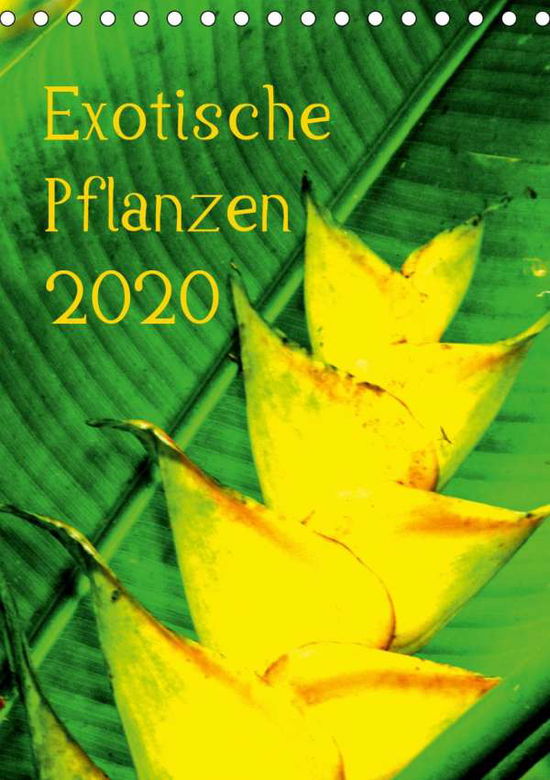 Cover for Brun · Exotische Pflanzen (Tischkalender (Book)