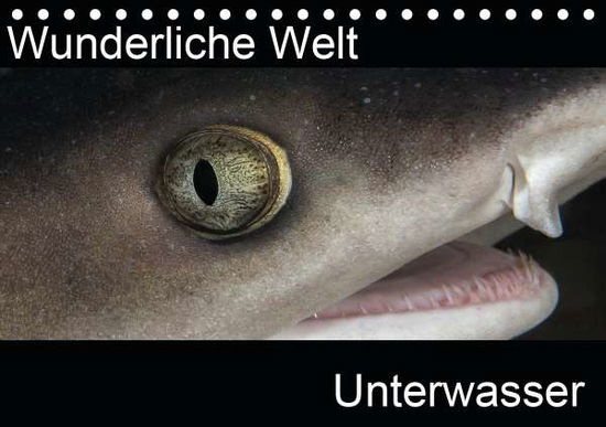 Cover for Bucher · Wunderliche Welt Unterwasser (Ti (Book)