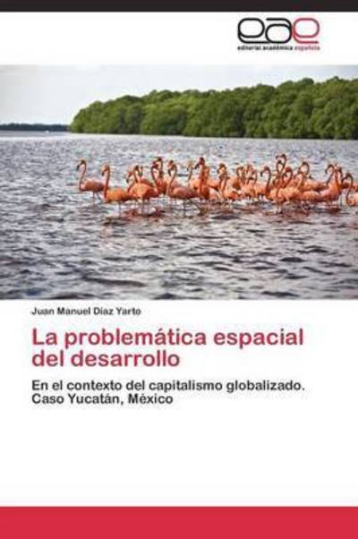 Cover for Diaz Yarto Juan Manuel · La Problematica Espacial Del Desarrollo (Pocketbok) (2011)