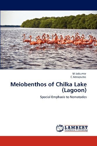 Cover for C Annapurna · Meiobenthos of Chilka Lake (Lagoon): Special Emphasis to Nematodes (Paperback Bog) (2012)