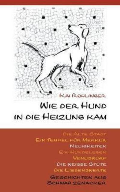 Wie der Hund in die Heizung k - Rohlinger - Bøker -  - 9783848257645 - 13. oktober 2017