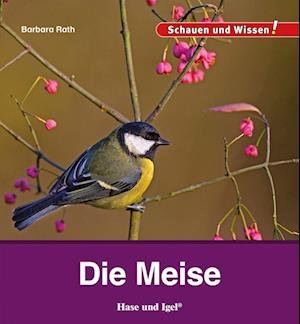 Cover for Barbara Rath · Die Meise (Book) (2024)