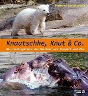 Cover for Bernd Blaszkiewitz · Knautschke, Knut &amp; Co. (Hardcover Book) (2008)