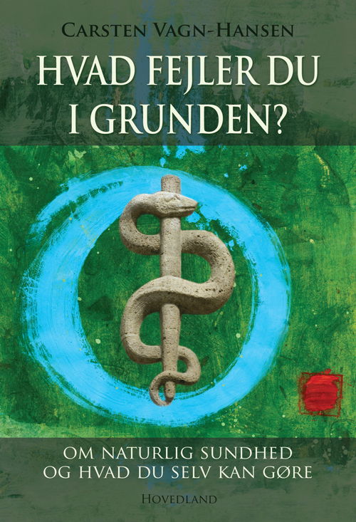 Cover for Carsten Vagn-Hansen · Hvad fejler du i grunden? (Bound Book) [Indbundet] (2011)