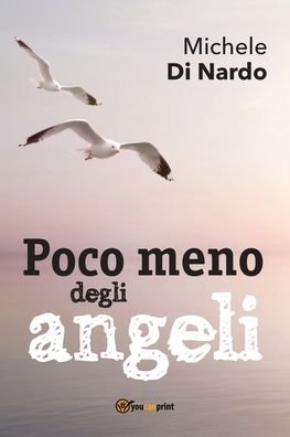 Cover for Michele Di Nardo · Poco meno degli angeli (Paperback Book) (2018)