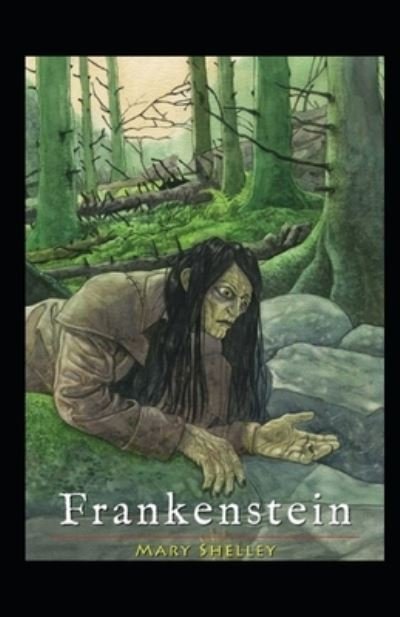Cover for Mary Shelley · Frankenstein illustrated edition (Paperback Bog) (2022)