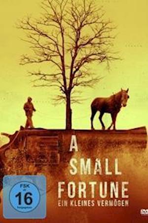 Cover for Adam Perry · A Small Fortune-ein Kleines Vermoegen (DVD) (2023)