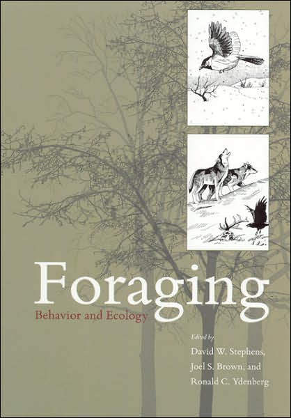 Cover for David W. Stephens · Foraging: Behavior and Ecology (Paperback Book) (2007)