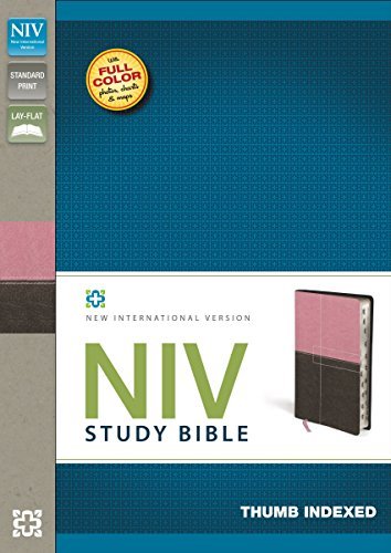 Cover for Zondervan · Niv Study Bible Indexed (Paperback Bog) [Box Lea in edition] (2012)