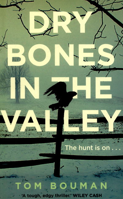 Cover for Tom Bouman · Dry Bones in the Valley (Paperback Book) [Main edition] (2015)