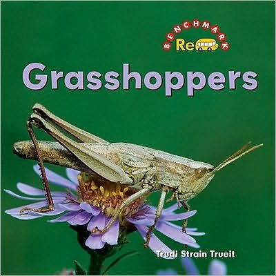 Cover for Trudi Trueit · Grasshoppers - Creepy Critters (Hardcover bog) (2010)