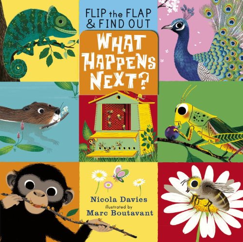 What Happens Next? (Flip the Flap and Find Out) - Nicola Davies - Books - Candlewick - 9780763662646 - November 13, 2012