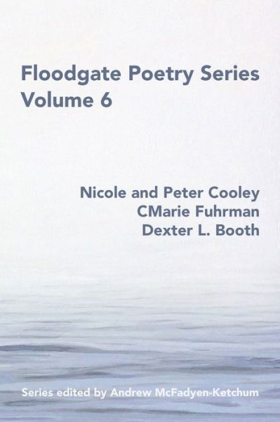 Cover for Nicole and Peter Cooley · Floodgate Series Volume 6 (Paperback Book) (2020)