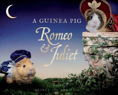 Cover for William Shakespeare · A Guinea Pig Romeo &amp; Juliet - Guinea Pig Classics (Innbunden bok) (2017)