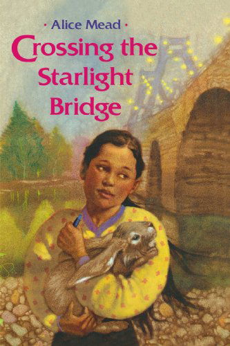 Cover for Alice Mead · Crossing the Starlight Bridge (Pocketbok) (2008)