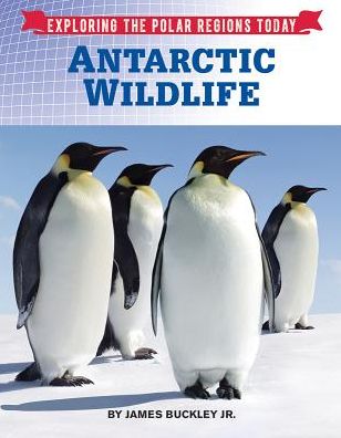 Cover for James Buckley Jr. · Antarctic Wildlife - Exploring the Polar Regions Today (Hardcover Book) (2017)