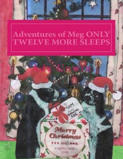 Cover for Ade Unwin · Adventures of Meg Only Twelve More Sleeps (Paperback Book) (2013)