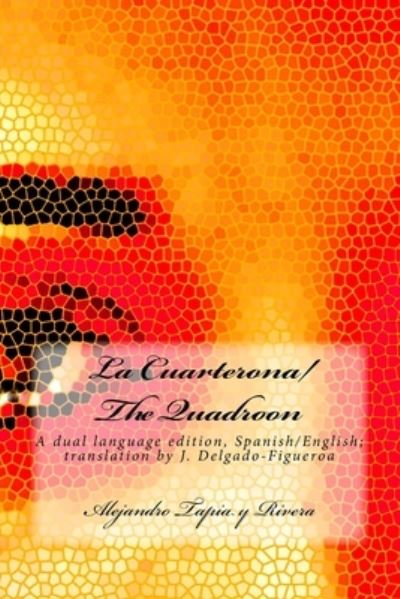 Cover for J Delgado-Figueroa · La Cuarterona / The Quadroon (Pocketbok) (2016)