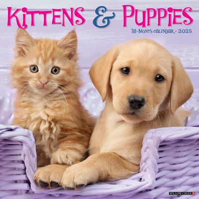 Kittens & Puppies 2025 12 X 12 Wall Calendar - Willow Creek Press - Merchandise - Willow Creek Press Calendars - 9781549243646 - September 10, 2024