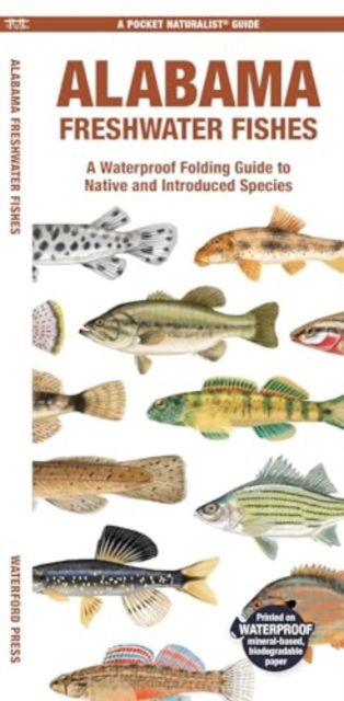 Cover for Morris, Matthew, Waterford Press · Alabama Freshwater Fishes: A Folding Guide to Native and Introduced Species - Pocket Naturalist Guide (Pamphlet) (2024)