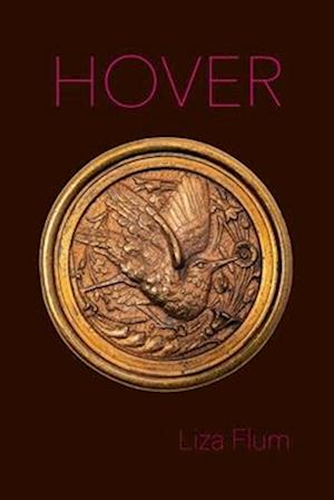 Cover for Liza Flum · Hover (Paperback Book) (2025)