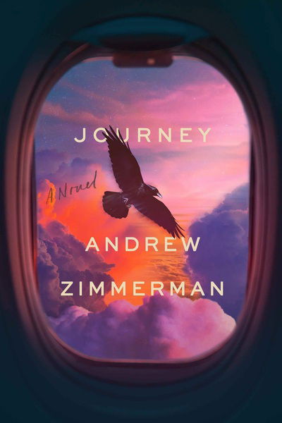 Cover for Andrew Zimmerman · Journey: A Metaphysical Novel (Hardcover Book) (2020)