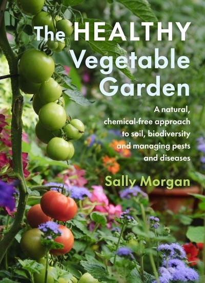 The Healthy Vegetable Garden: A natural, chemical-free approach to soil, biodiversity and managing pests and diseases - Sally Morgan - Books - Chelsea Green Publishing Co - 9781645020646 - September 2, 2021