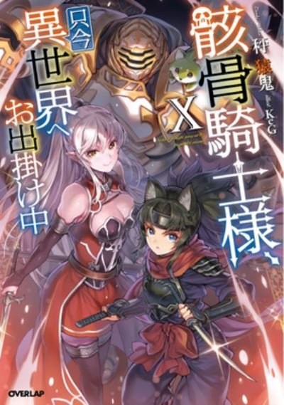 Cover for Ennki Hakari · Skeleton Knight in Another World (Light Novel) Vol. 10 - Skeleton Knight in Another World (Light Novel) (Paperback Bog) (2023)