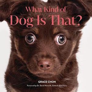 Cover for Grace Chon · What Kind of Dog Is That? (Hardcover Book) (2025)