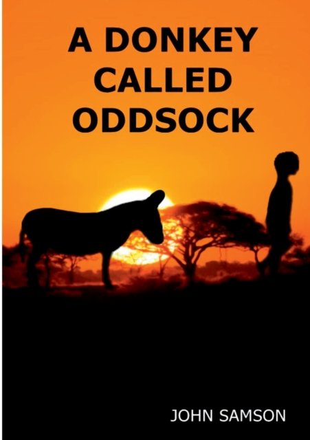 Cover for John Samson · A Donkey Called Oddsock (Paperback Bog) (2019)