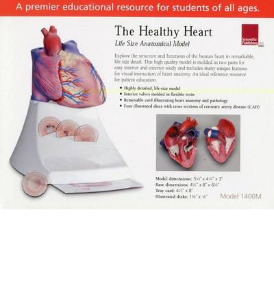 Healthy Heart: Life Size Anatomical Model - Scientific Publishing - Fanituote - Scientific Publishing - 9781932922646 - perjantai 19. toukokuuta 2006