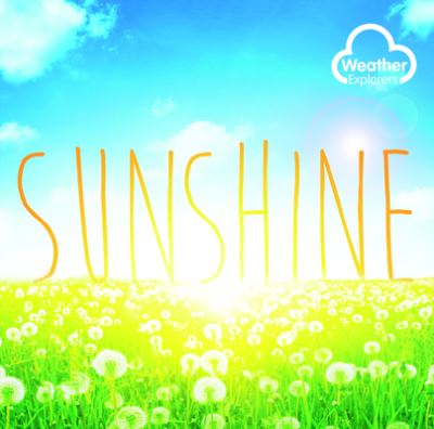 Cover for Harriet Brundle · Sunshine (Hardcover Book) (2020)