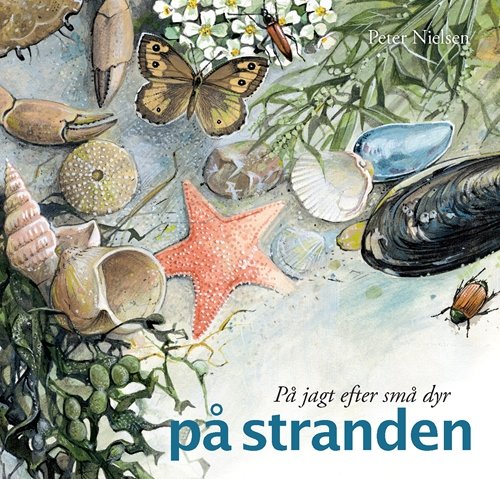 På jagt efter: På jagt efter små dyr - på stranden - Peter Nielsen - Bøker - Gyldendal - 9788702047646 - 27. mai 2008