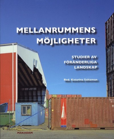 Cover for Lennart Zintchenko · Mellanrummens möjligheter : studier av föränderliga landskap (Buch) (2009)