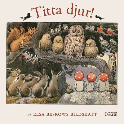 Cover for Elsa Beskow · Titta djur! : Ur Elsa Beskows bildskatt (Kartonbuch) (2021)