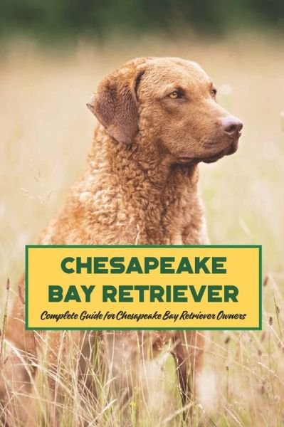 Cover for Gosnell Mollie · Chesapeake Bay Retriever: Complete Guide for Chesapeake Bay Retriever Owners (Paperback Book) (2022)