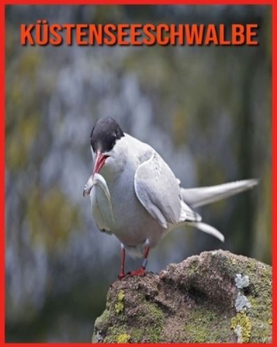 Cover for Annie Nichols · Kustenseeschwalbe (Paperback Book) (2021)